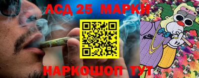 гидропоника Ливны